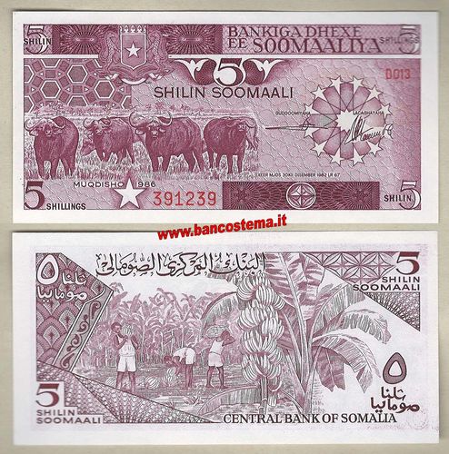 Somalia P31b 5 Shillings 1986 unc