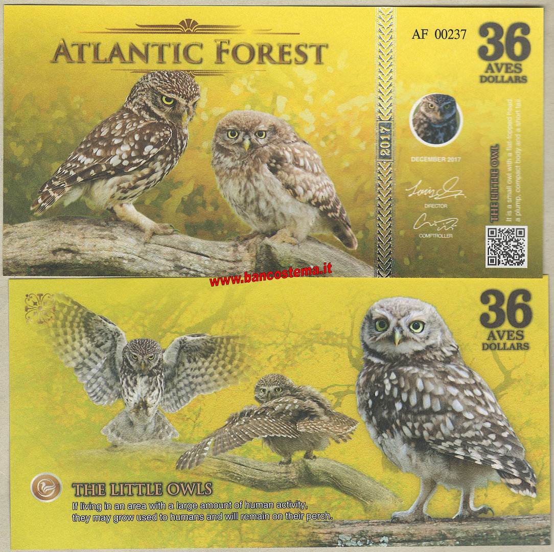 ATLANTIC FOREST 35 AVES DOLLARS HIMALAYAN MONAL 2017 