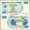 Zimbabwe P45 5.000 Dollars 01.02.2007 unc