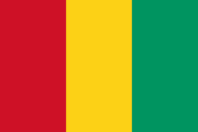 Guinea_bandiera