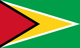 Guyana_bandiera